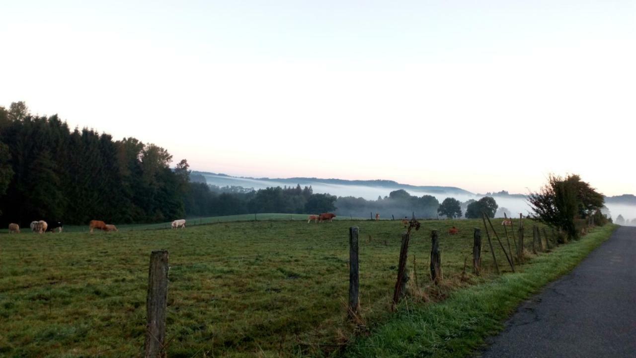 La Croisee Des Champs, Gite Entre Durbuy Et La Roche En Ardenne Érezée Buitenkant foto